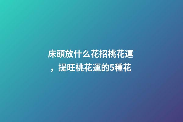 床頭放什么花招桃花運，提旺桃花運的5種花